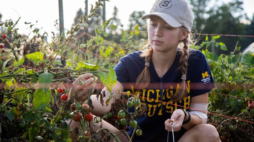 student crouches down to examine a plant in a garden